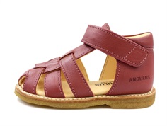 Angulus
